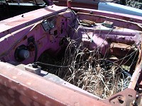 Click here for larger view.